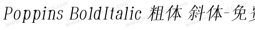 Poppins Bo1dItalic 粗体 斜体字体转换